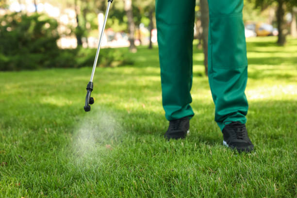 Best Pest Prevention Services  in Prescott Valley, AZ