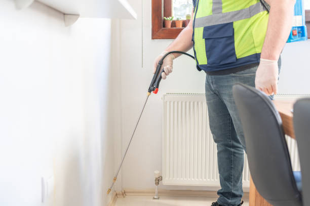 Best Pest Removal Services  in Prescott Valley, AZ