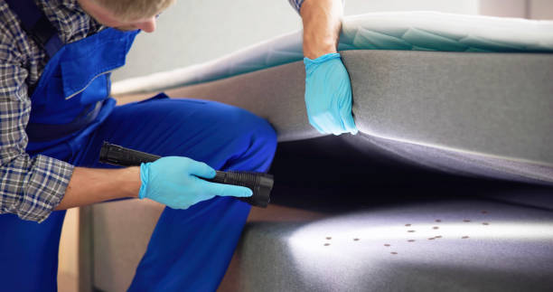 Best Rodent Control Near Me  in Prescott Valley, AZ